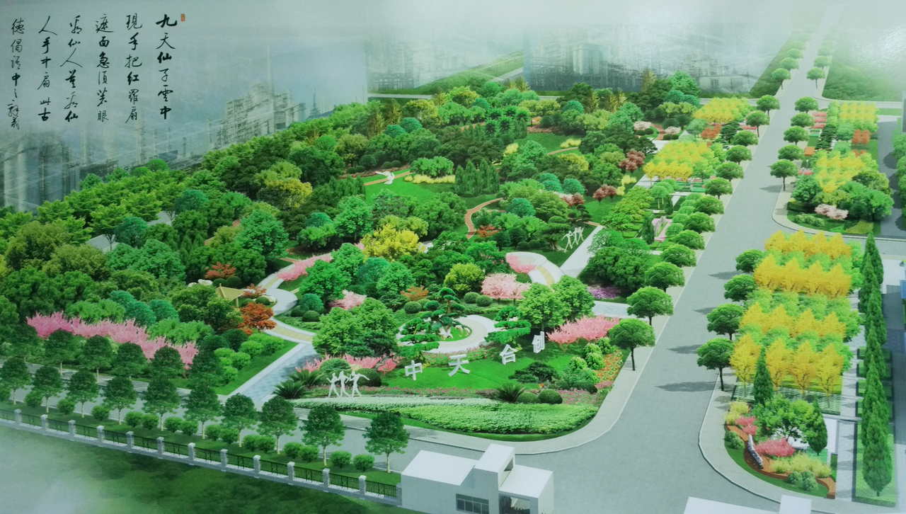 中天合創(chuàng)景觀工程前期施工